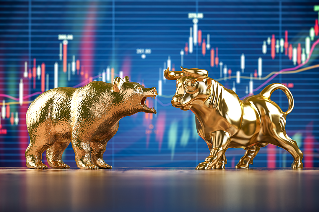 Crypto Bear Market: What to do?